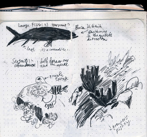 Sketchbook #113: Trip to Bonaire - Underwater Sketching / Scuba Diving with a Sketchbook