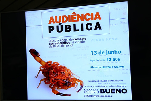 Audiência pública para discutir ações de combate aos escorpiões na cidade de Belo Horizonte - 18ª Reunião Ordinária - Comissão de Saúde e Saneamento