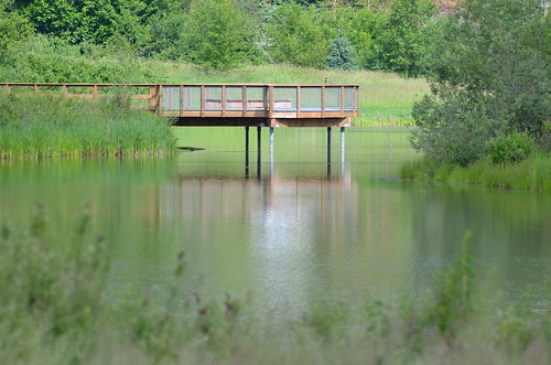 bc abbotsford willbandcreekpark platform viewingplatform pond reflection