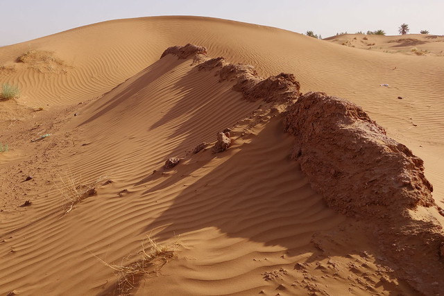 Nasrat - Tagounite por pista -Tzi n'Selmane - Erg El Ihoudi por pista - Bon - Marruecos: Mil kasbahs y mil colores. De Marrakech al desierto. (2)