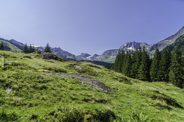 EL SECRETO DE RAURIS - Austria en familia, montañas y lagos (Salzburgerland y Dachstein) (1)