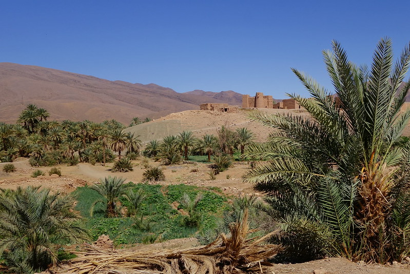 Valle del Draa por pista, Zagora, Dunas de Ait Isfoul. - Marruecos: Mil kasbahs y mil colores. De Marrakech al desierto. (15)