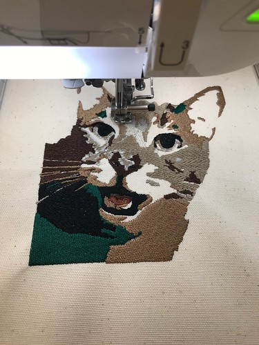 Cat Embroidery
