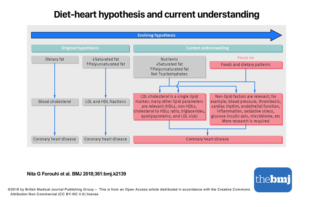 Dietary fat and cardiometabolic health-466