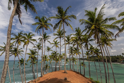 srilanka mirissa asia canon palmtree indianocean island trees tropical ocean waves water sky clouds landscape seascape nature beach peninsula