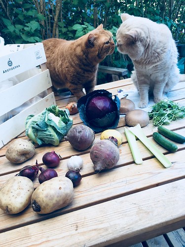 årstiderna vegan organic food box, may 2018 -
