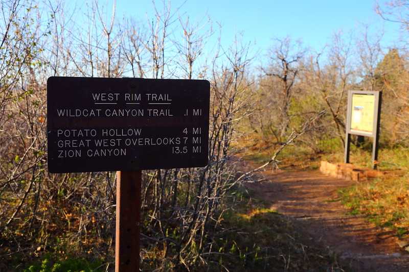 IMG_1043 West Rim Trail, Zion National Park