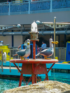 Photo 5 of 8 in the Finding Nemo Submarine Voyage gallery