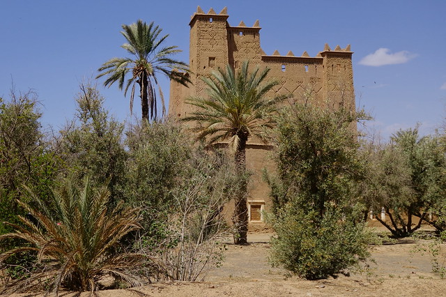 Marruecos: Mil kasbahs y mil colores. De Marrakech al desierto. - Blogs de Marruecos - Skoura (Kasbah Ait Ben Moro, Ameridil y Ait Abou), Agdz, Tamnougalt, Hara Oasis. (19)