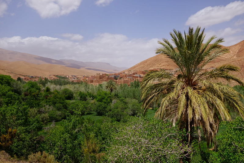 Marruecos: Mil kasbahs y mil colores. De Marrakech al desierto. - Blogs de Marruecos - Tinejdad, El Krobat, Tinghir, Gargantas del Todra y del Dadès. (31)