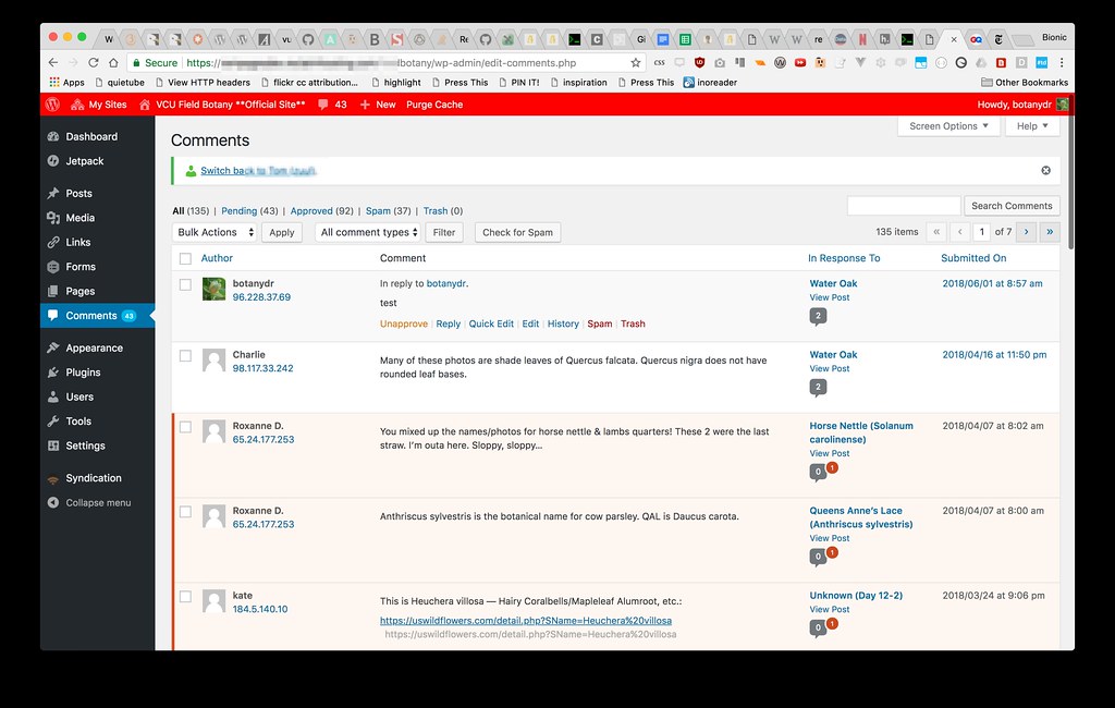 The main wordpress comment view without email addresses visible.