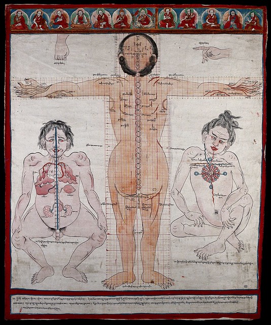 V0036134 Three anatomical figures from Tibet