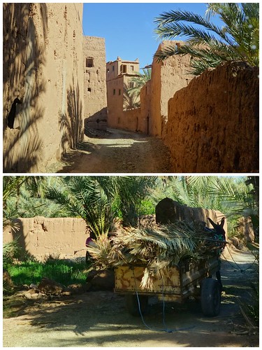Valle del Draa por pista, Zagora, Dunas de Ait Isfoul. - Marruecos: Mil kasbahs y mil colores. De Marrakech al desierto. (3)