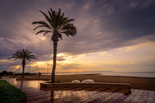 costacabana rain beach playa palm tree reflejos reflexes sunlight lluvia palmera nikon tamron 1530 15mm sunrise dawn