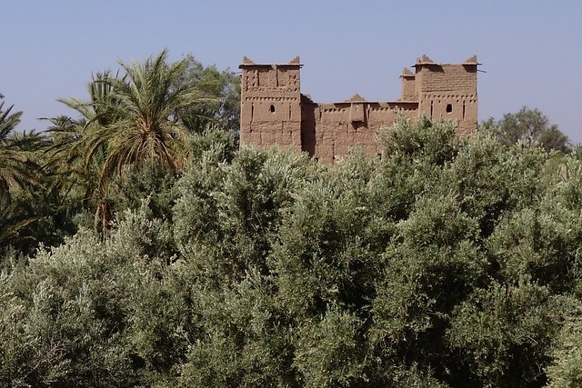 Marruecos: Mil kasbahs y mil colores. De Marrakech al desierto. - Blogs de Marruecos - Skoura (Kasbah Ait Ben Moro, Ameridil y Ait Abou), Agdz, Tamnougalt, Hara Oasis. (15)