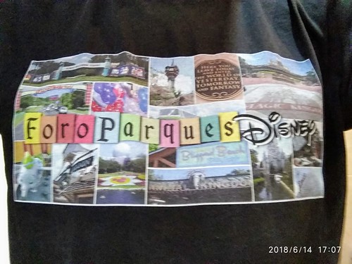 Foro Parques Disney Photography Contest, I Edición 27930502687_bb3990815b