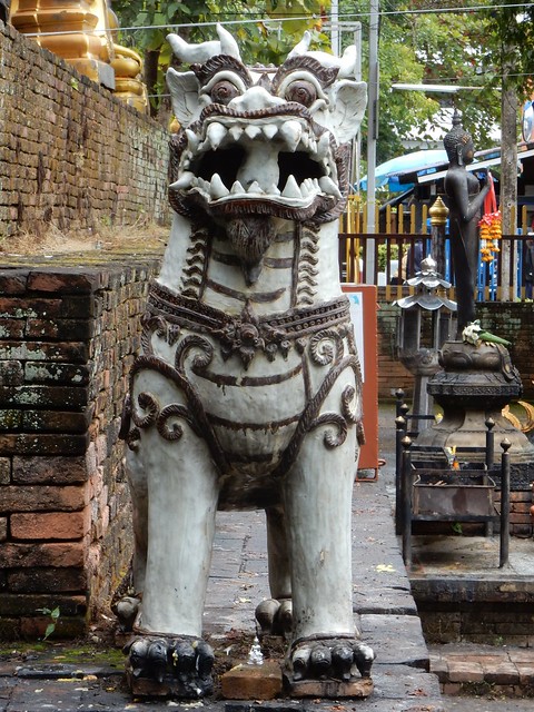 FIN DE AÑO EN EL NORTE DE TAILANDIA - Blogs de Tailandia - Doi Suthep, la montaña del elefante blanco (18)