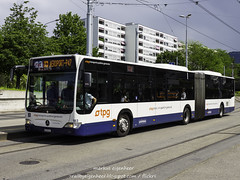 TPG Bus Mercedes Citaro EVOBus O530G 183
