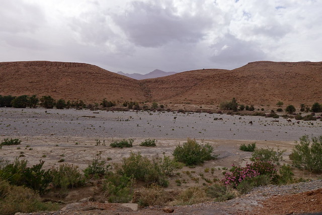 Imilchil, Lago Tislit, Agoudal, Cueva de Akhiam, Gargantas de Amellado. - Marruecos: Mil kasbahs y mil colores. De Marrakech al desierto. (45)