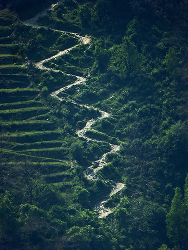 A switchback Trail that makes its way up a steep hill on the Annapurna Base Camp Trek in Central West Nepal