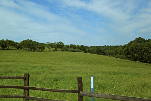 readingtownship perrycounty ohio landscape farmland scenic vista view somerset newlexington trees field sky fence grass pasture slope