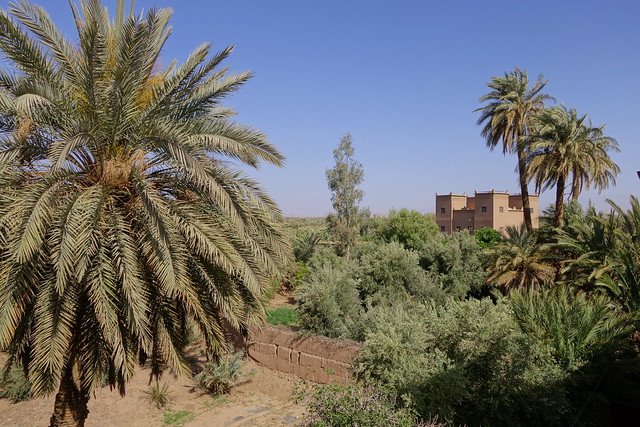 Marruecos: Mil kasbahs y mil colores. De Marrakech al desierto. - Blogs of Morocco - Skoura (Kasbah Ait Ben Moro, Ameridil y Ait Abou), Agdz, Tamnougalt, Hara Oasis. (16)
