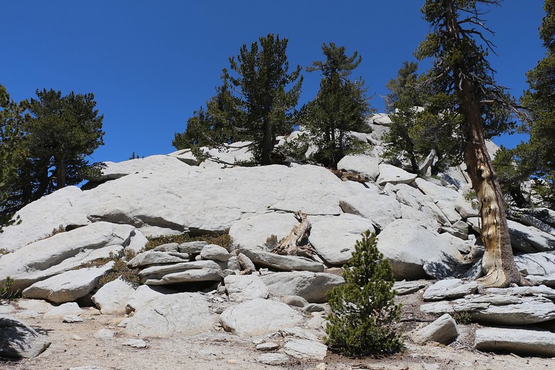 Looking up at the granite slabs and boulders on Mount Saint Ellen's