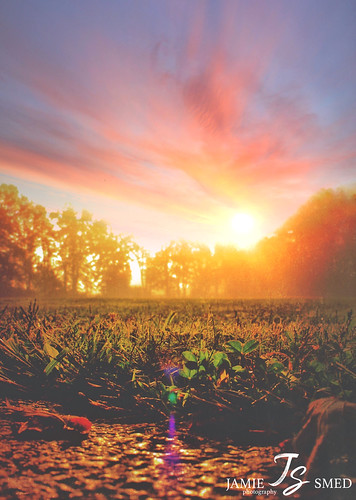 iphoneedit jamiesmed app snapseed 2014 clintoncounty ohio mextures rural sky september sunrise landscape