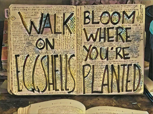 Walk on Eggshells / Bloom Where You're Planted