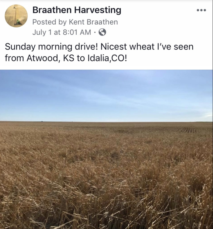 Braathen Harvesting