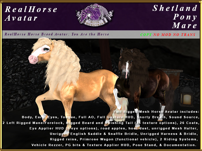 Elite Equestrian's new RealHorse Shetland Pony - TeleportHub.com Live!