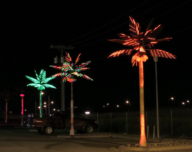 Palm trees in Montana