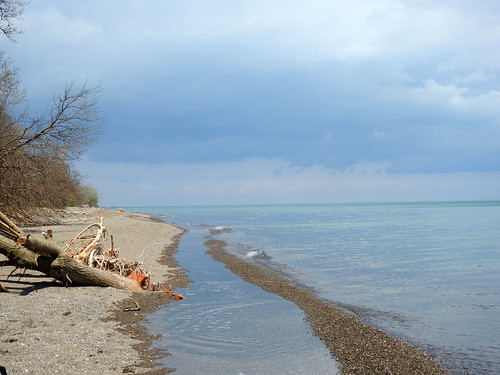 pointpelee landscape pamhawkes leamington