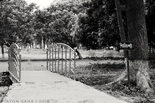 landscape ayonsaha monochrome shadow blacknwhite bangladesh black ayonsahaphotography kushtia outdoors park b flora tree nature grass road