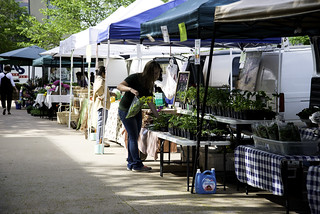 Fayetteville Farmers Market