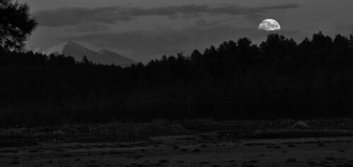 super moonrise sanfrancisco peaks snow coconino national forest williams jct arizona blackwhite landscape mountains