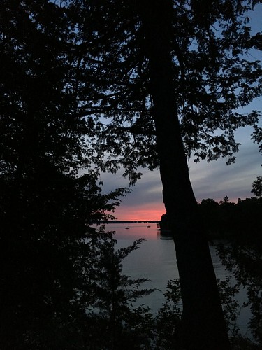 lakechamplain sunset cedartrees silhouette vermont southherovt