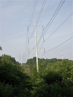 Powerline Habitat by Penny O'Connor