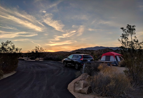 jrglongbeach joshuatree sunrise camping crv tent nationalpark desert