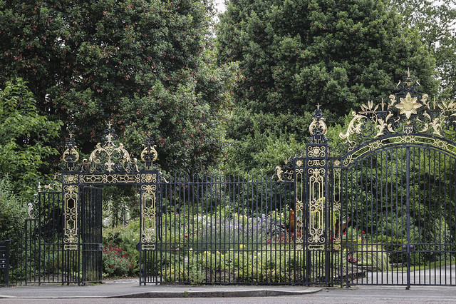 Queen Mary's Rose Gardens, Regents Park