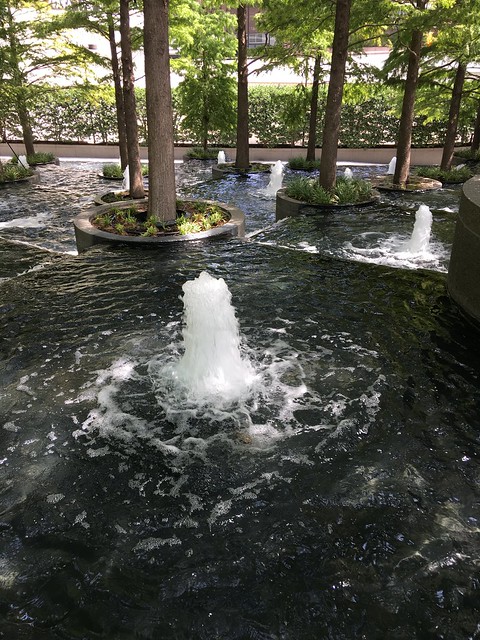 Lots of lovely fountains in Dallas