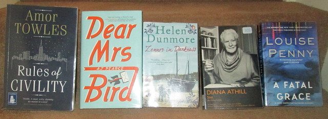 Haul of Library Books