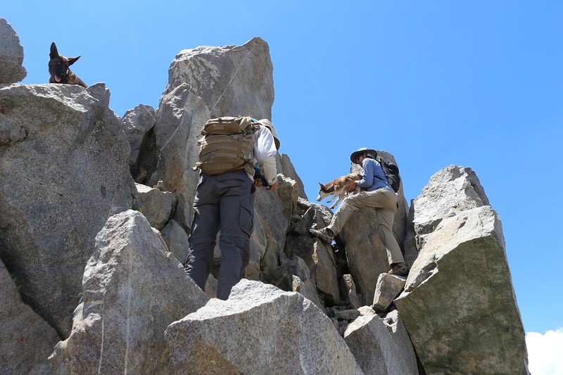 Passing the two dogs up to the summit of Cloudripper Peak - 13525 feet elevation