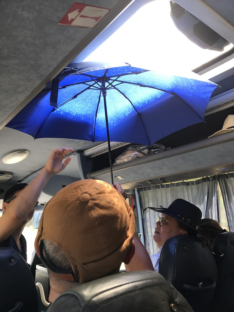 Fatima 204, umbrella in the van