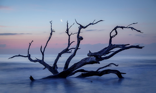 2018 jekyllisland driftwoodbeach gnpaexpotrip georgia unitedstates us water driftwood tree moon moonlight canonef24105mmf4lisusm bluehour sea sky sun landscape