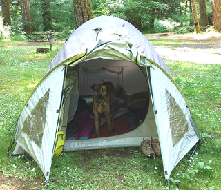 is this a pup tent?