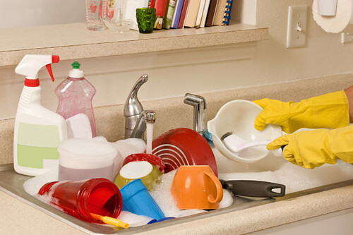Guest Post Bacteria In Your Kitchen