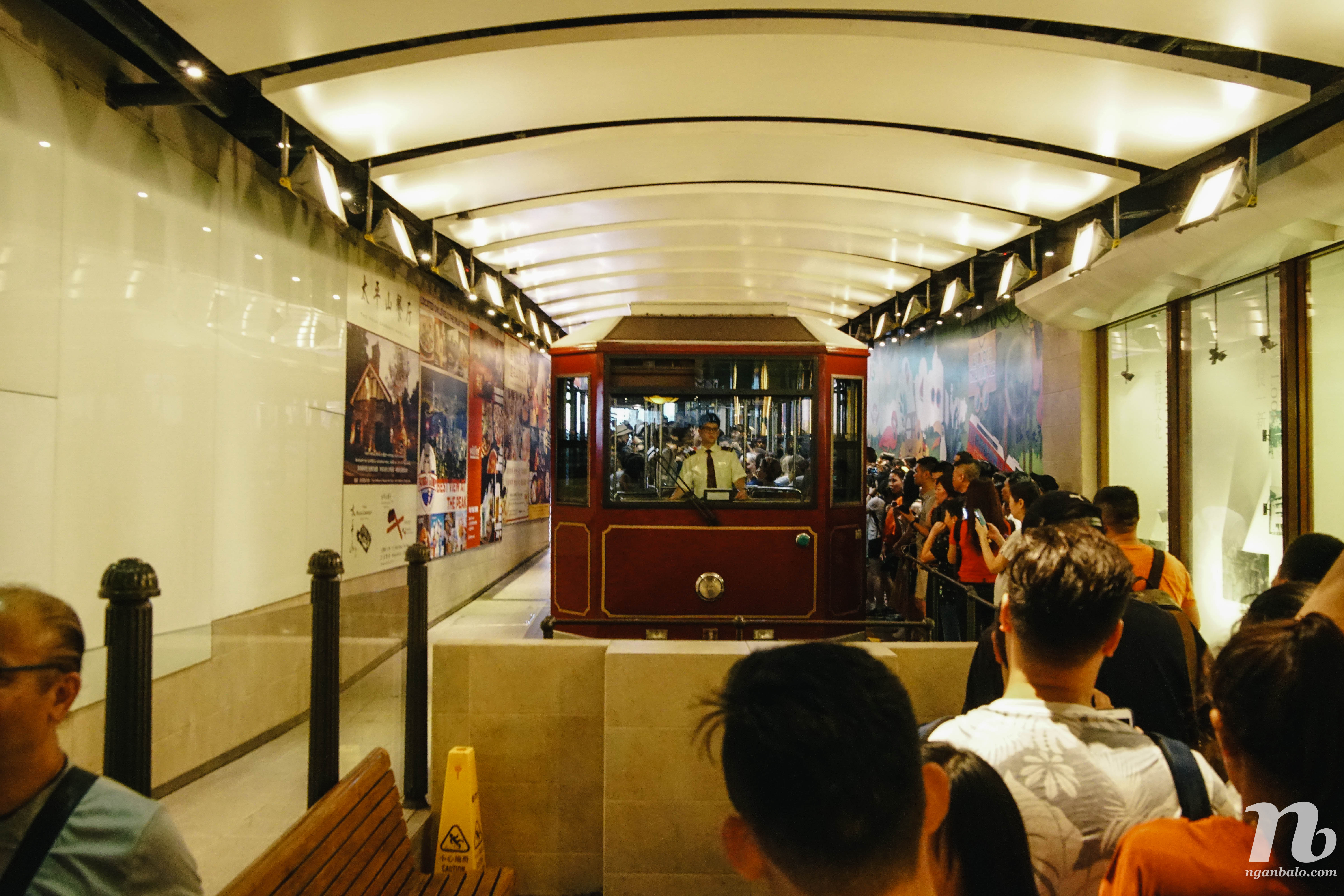 4 ngày du lịch Hong Kong – (2) Thang cuốn dài nhất thế giới và Victoria Peak
