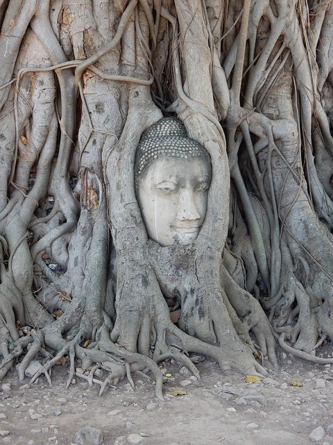 Ayutthaya, la antigua capital del reino - TAILANDIA POR LIBRE: TEMPLOS, ISLAS Y PLAYAS (14)