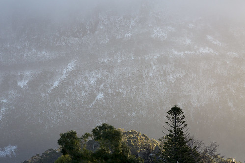 mtwellington kunanyi hobart tasmania mountain snow snowing tree landscape canon 400mm foothills